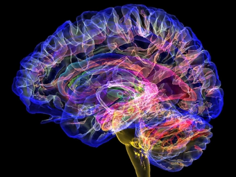 欧美人操逼视频大脑植入物有助于严重头部损伤恢复